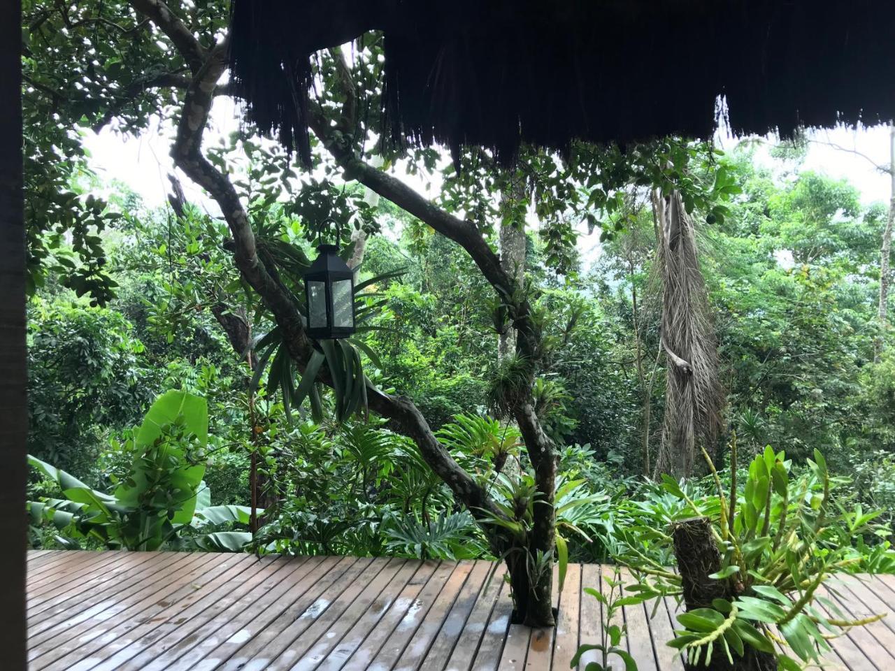 Pousada Rainforest House - Ilha Grande Exterior foto